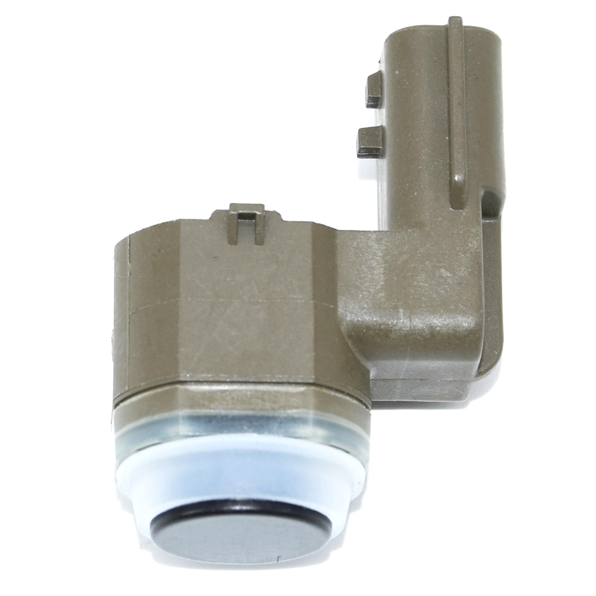 ふな m46366705692_1.jpg?1736522525